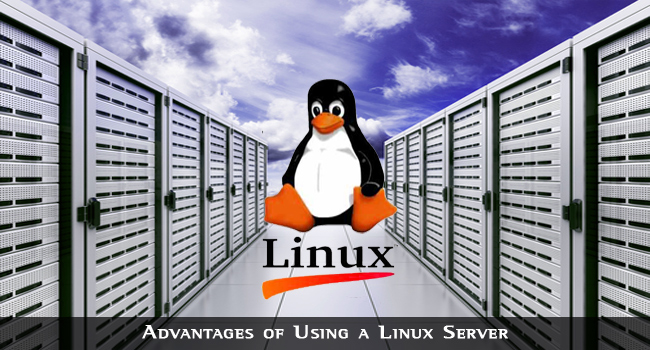 Advantages Of Linux Server