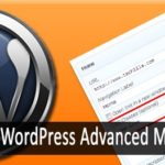 Wordpress Advanced Menu Options