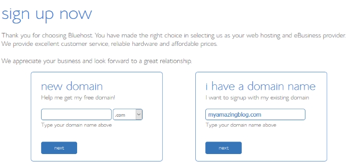 Bluehost Add Domain Name