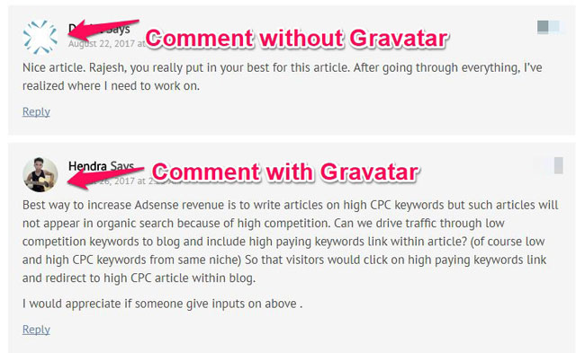 Comment With And Without Gravatar