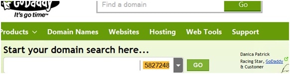 Godaddy Domain