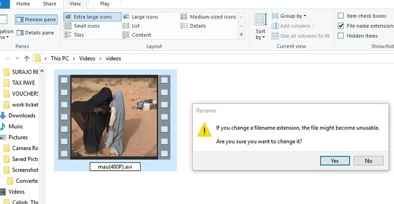 Copy File and Convert to AVI Format Copy File and Convert to AVI Format