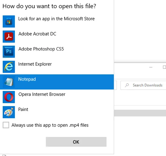 Open Video with Notepad