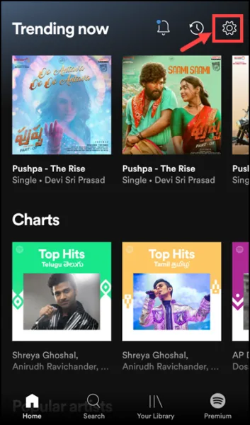 spotify settings