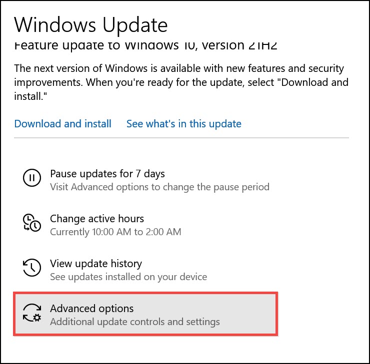 Advanced Options Windows Update