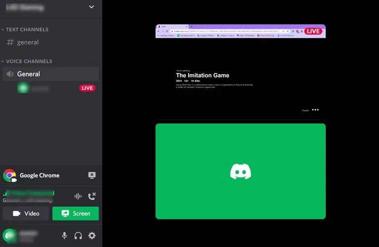 netflix stream on discord