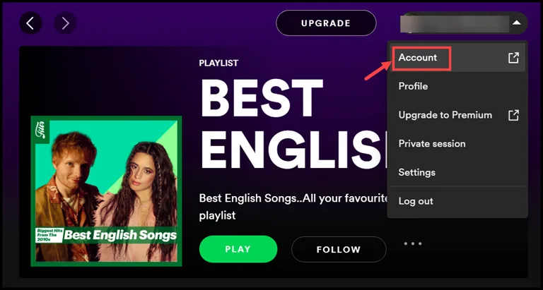 spotify account settings