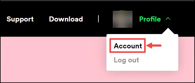 spotify account