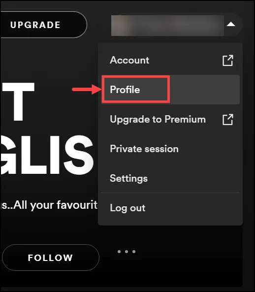 spotify profile
