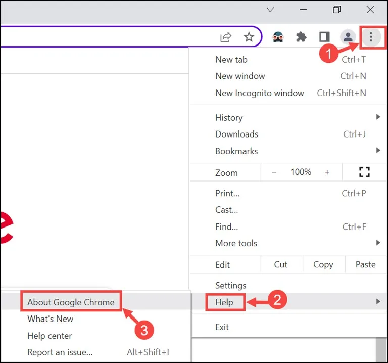 About Google Chrome