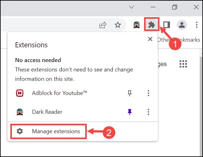 Manage Extensions option Chrome