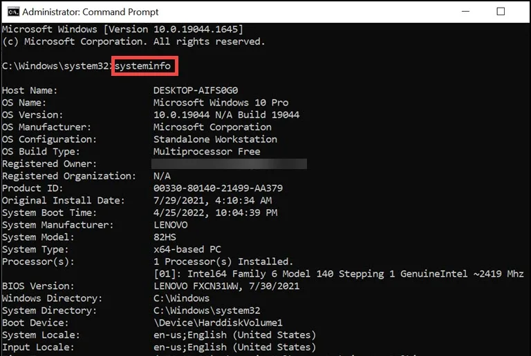 Run systeminfo Command