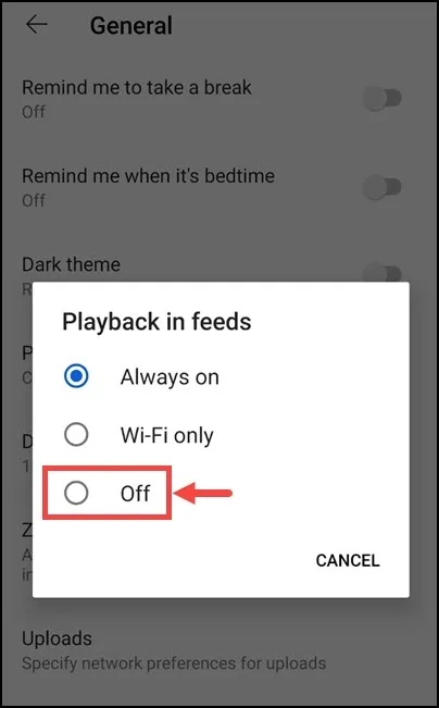 Turn Off Playback in Feeds