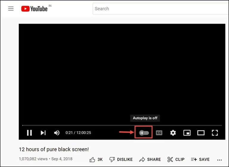 Turn on Autoplay Button