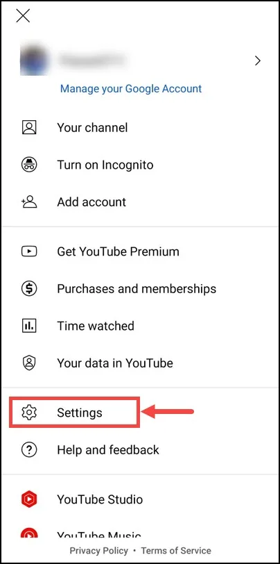 YouTube App Settings