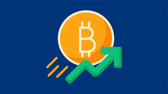 Bitcoin Investment Profits