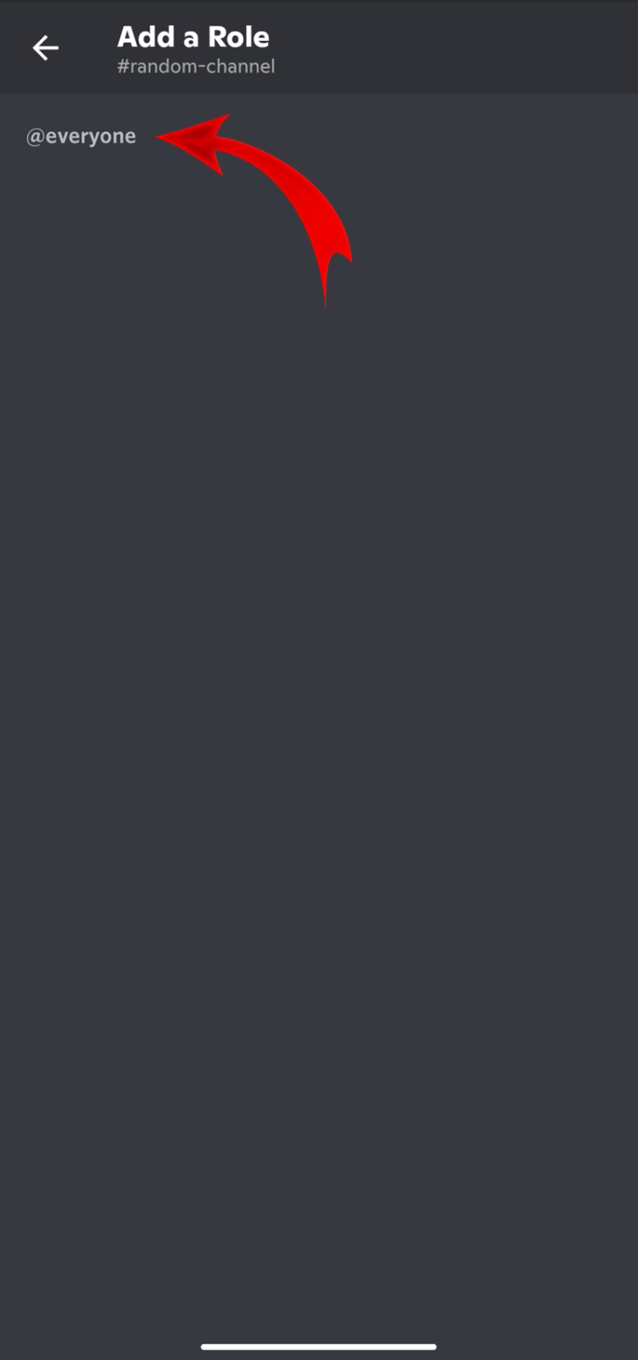 View of How to Lock a Discord Channel 🔒 (Try This FIRST!)