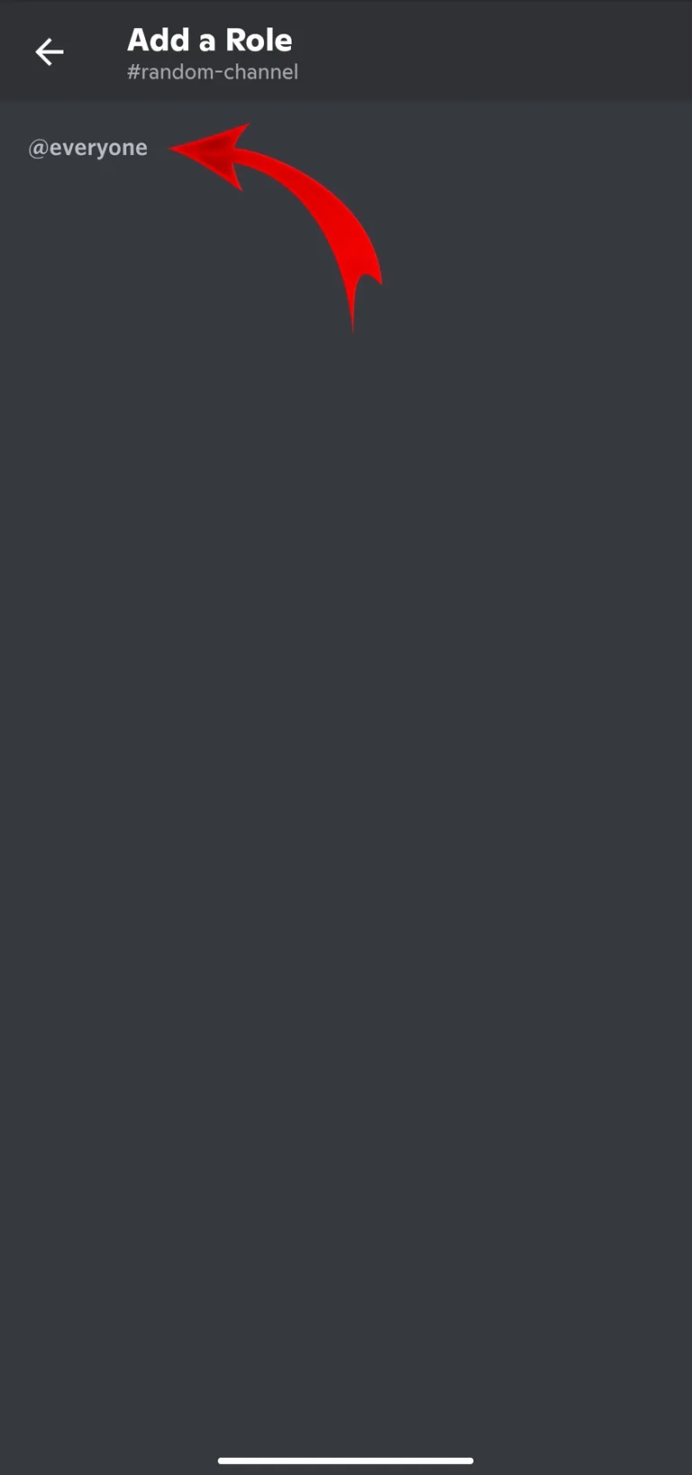 Add Role Everyone