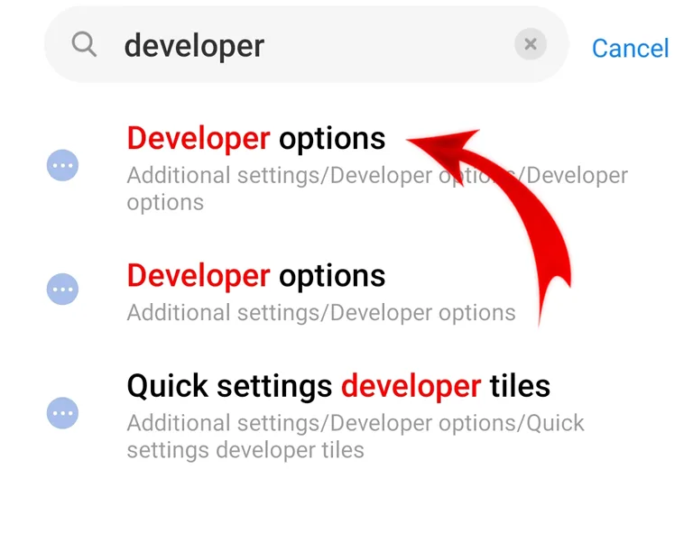 Developer Options
