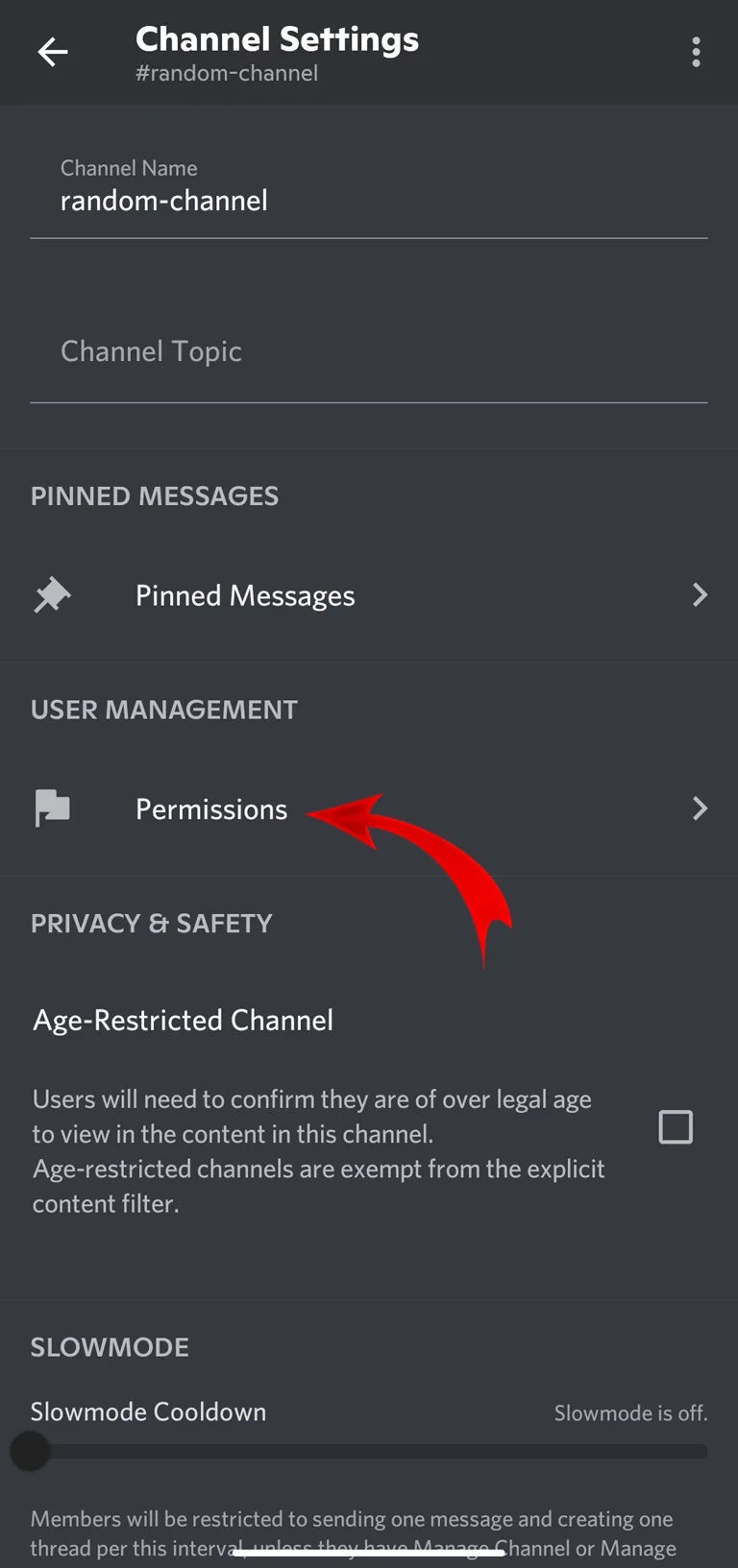 Discord Channel Permissions