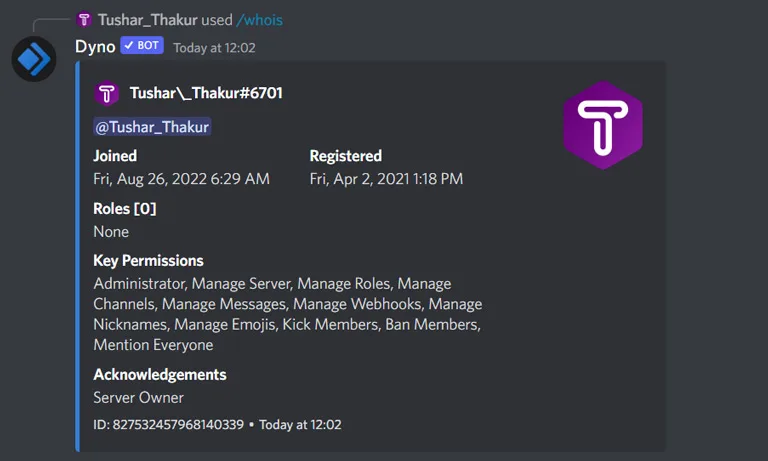 Discord Dino Options Discord Dino Options