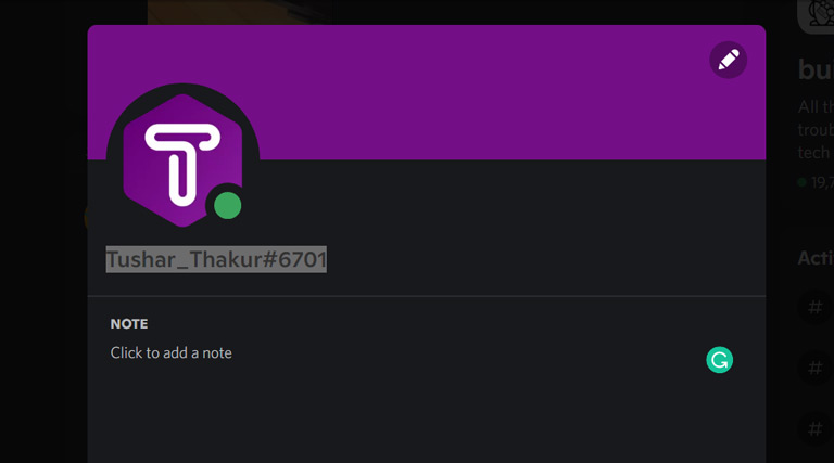 Discord Profile Page