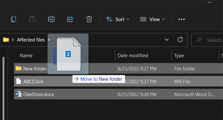 Move Affected Files To New Folder