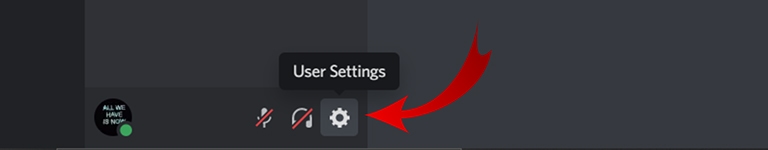 User Settings On Discord