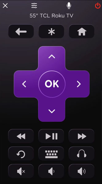 Roku App Buttons