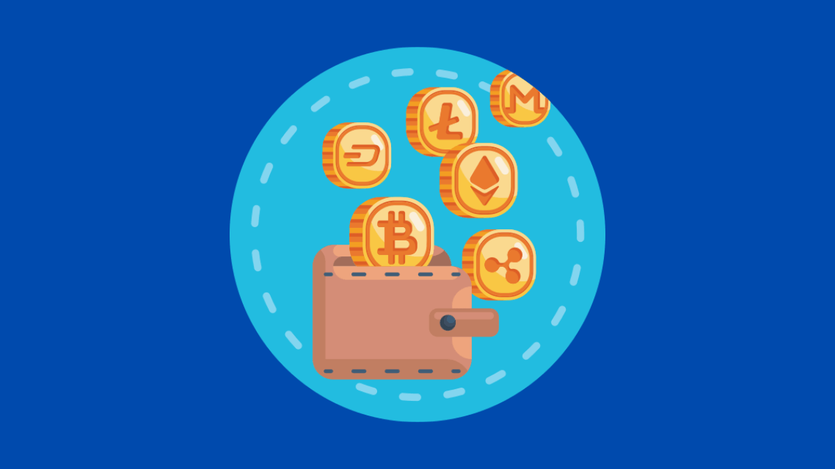 cryptocurrency-wallets-and-other-useful-crypto-terms-explained