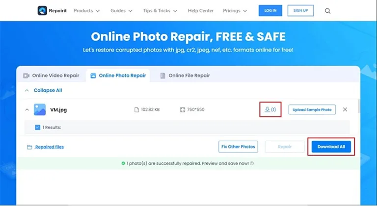 Download Repaired Files Download Repaired Files