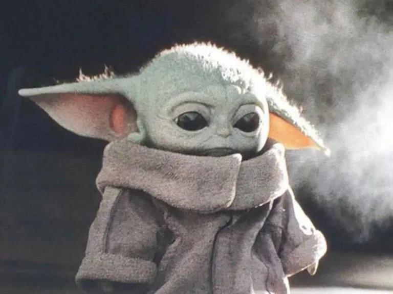 Baby Yoda Baby Yoda