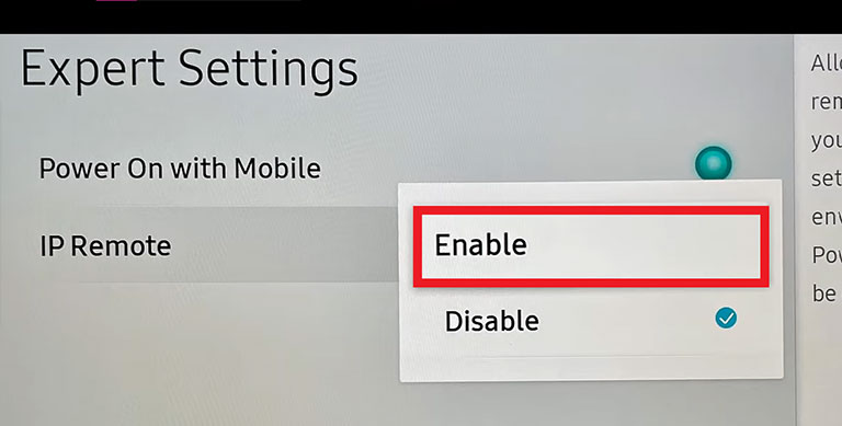 Enable Ip Remote