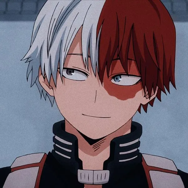 Shoto Todoroki Shoto Todoroki