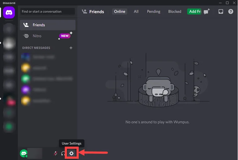 Discord User Settings