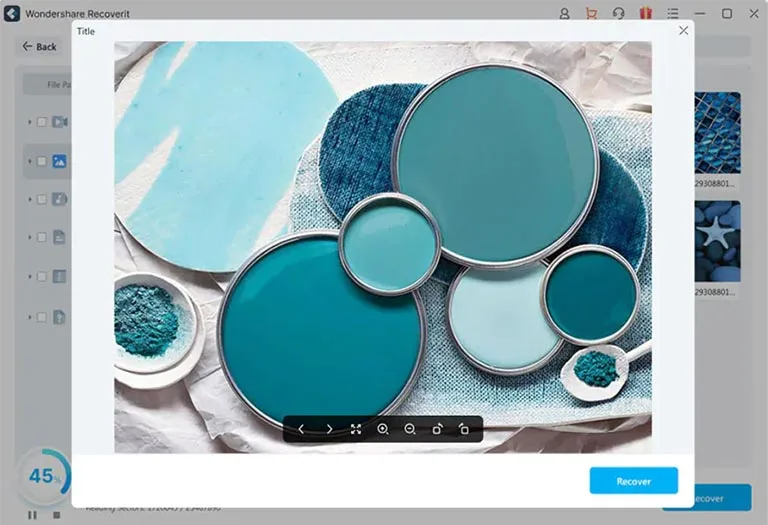 Preview and Recover Photo