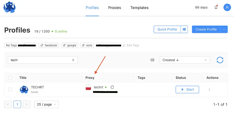 Proxy Section of Profile Proxy Section of Profile