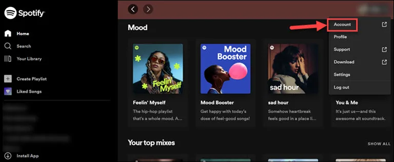 spotify account settings
