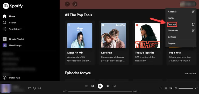 Spotify Support