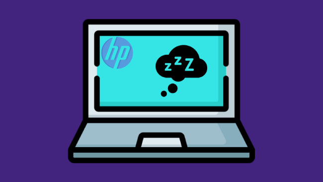 HP Monitor Keeps Going To Sleep