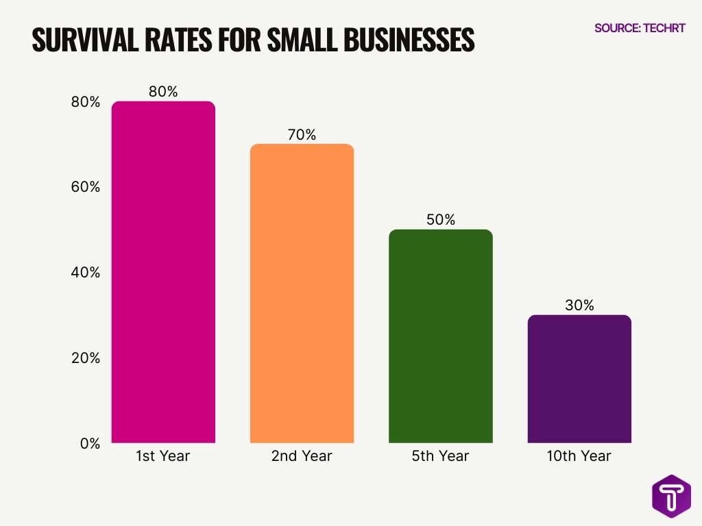 Survival Rates For Small Businesses