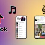 Tiktok Music Statistics