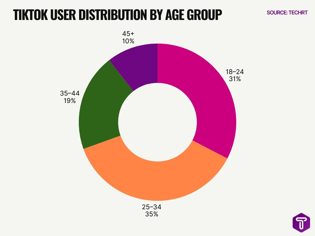 Tiktok User Distribution By Age Group