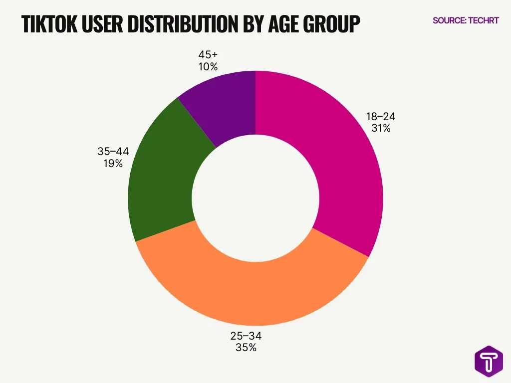Tiktok User Distribution By Age Group Tiktok User Distribution By Age Group
