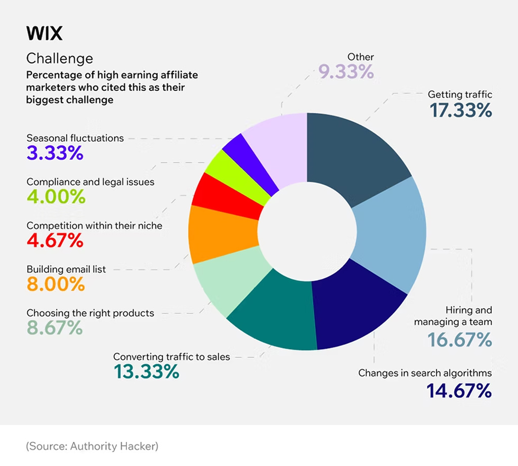 Biggest Challenges Faced By High Earning Affiliate Marketers