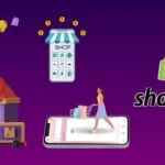 Shopify Statistics