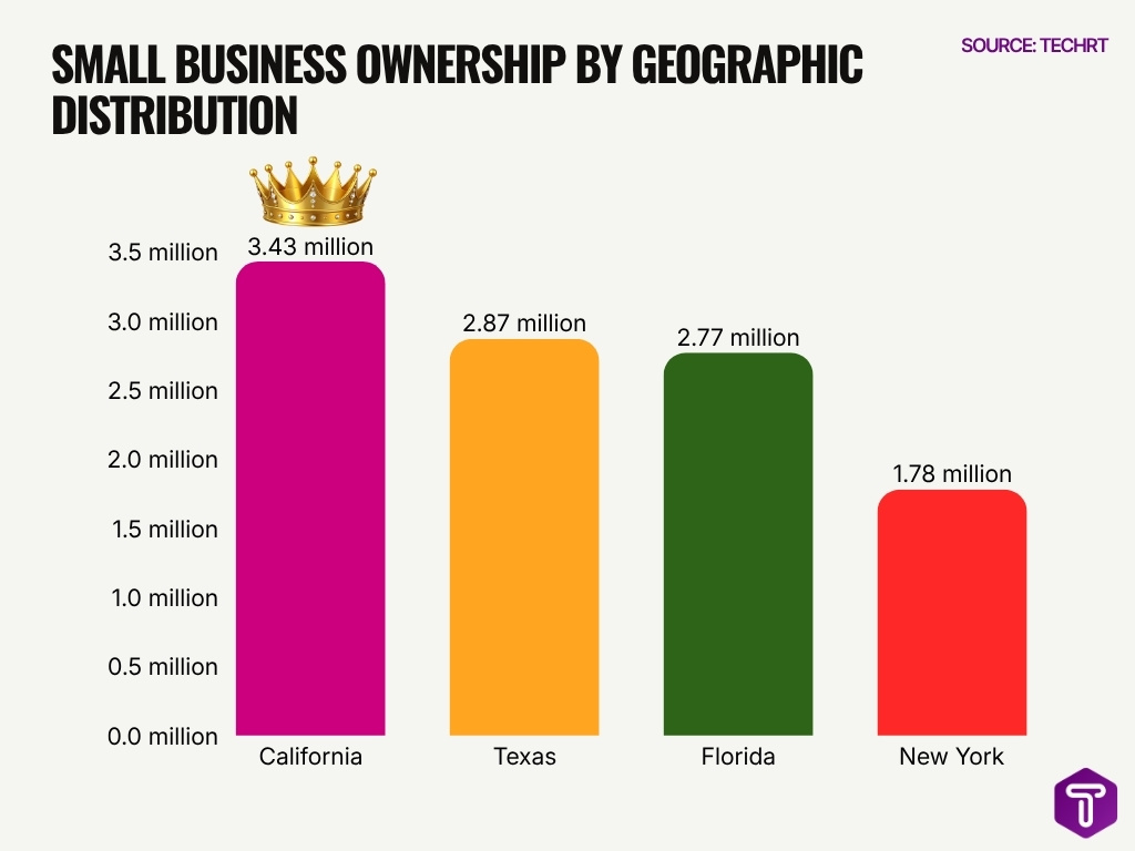 Small Business Ownership By Geographic Distribution