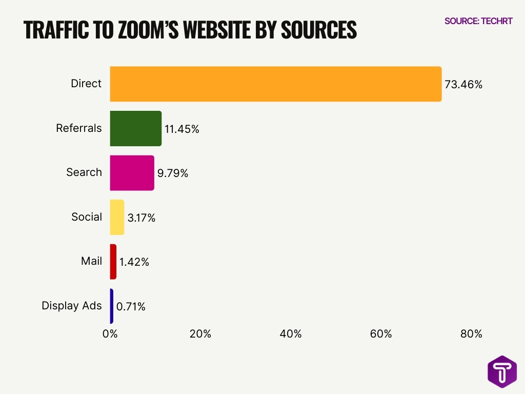 Traffic To Zoom S Website By Sources
