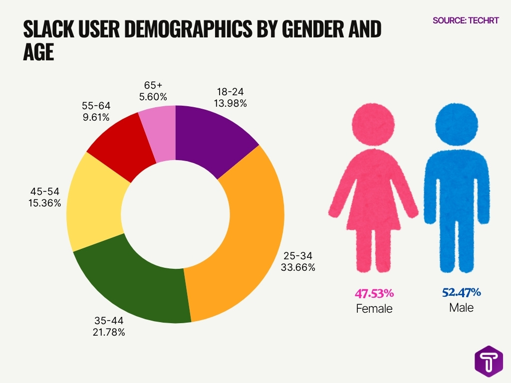 Slack User Demographics By Gender And Age