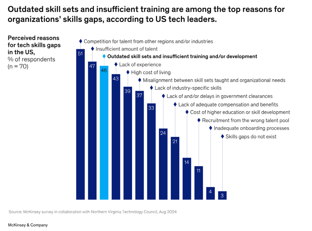Perceived Reasons For Tech Skills Gaps In The Us